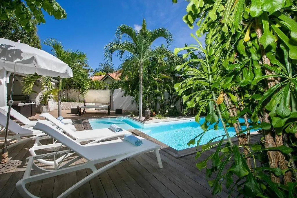 Villa Ele, 4 Chambres, Jardin Tropical Et Piscine Quarter of Orleans