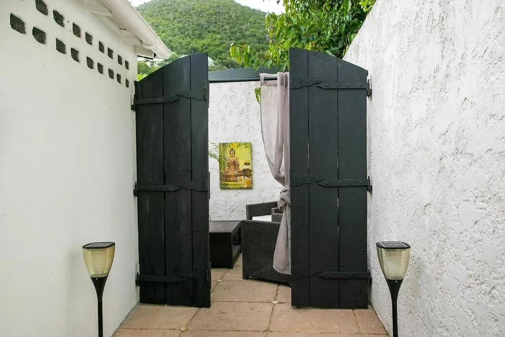 Villa Ele, 4 Chambres, Jardin Tropical Et Piscine Quarter of Orleans