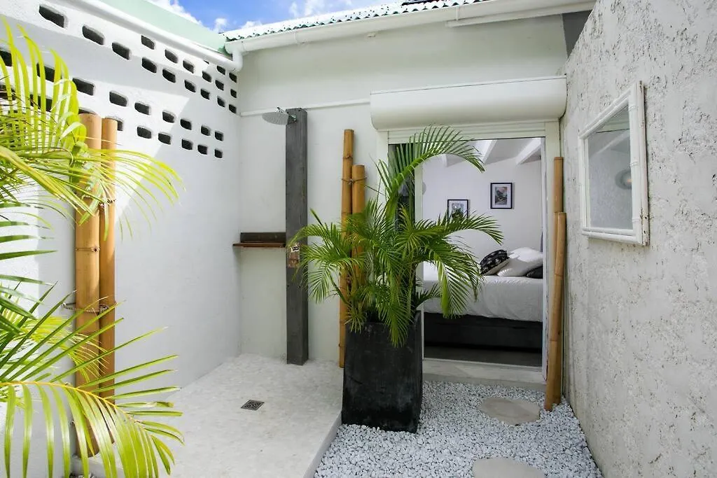 Villa Ele, 4 Chambres, Jardin Tropical Et Piscine Quarter of Orleans