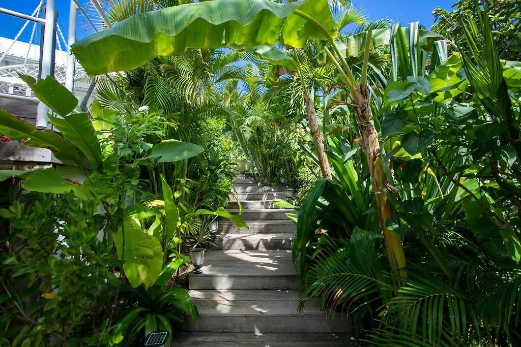 Villa Ele, 4 Chambres, Jardin Tropical Et Piscine Quarter of Orleans 0*,  سان مارتن