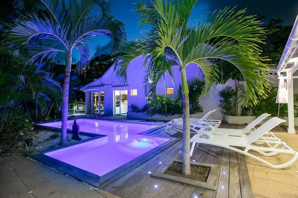 Villa Ele, 4 Chambres, Jardin Tropical Et Piscine Quarter of Orleans