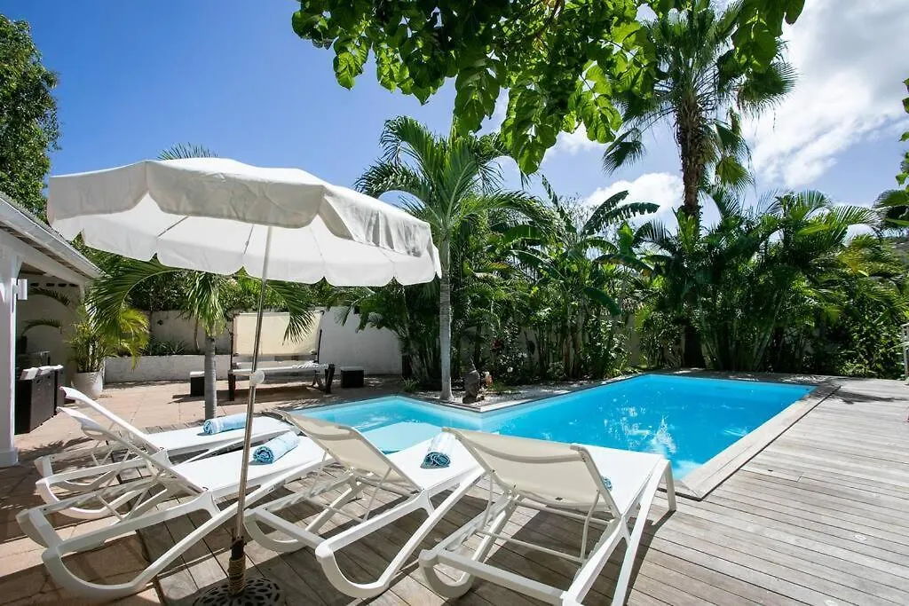 Villa Ele, 4 Chambres, Jardin Tropical Et Piscine Quarter of Orleans سان مارتن