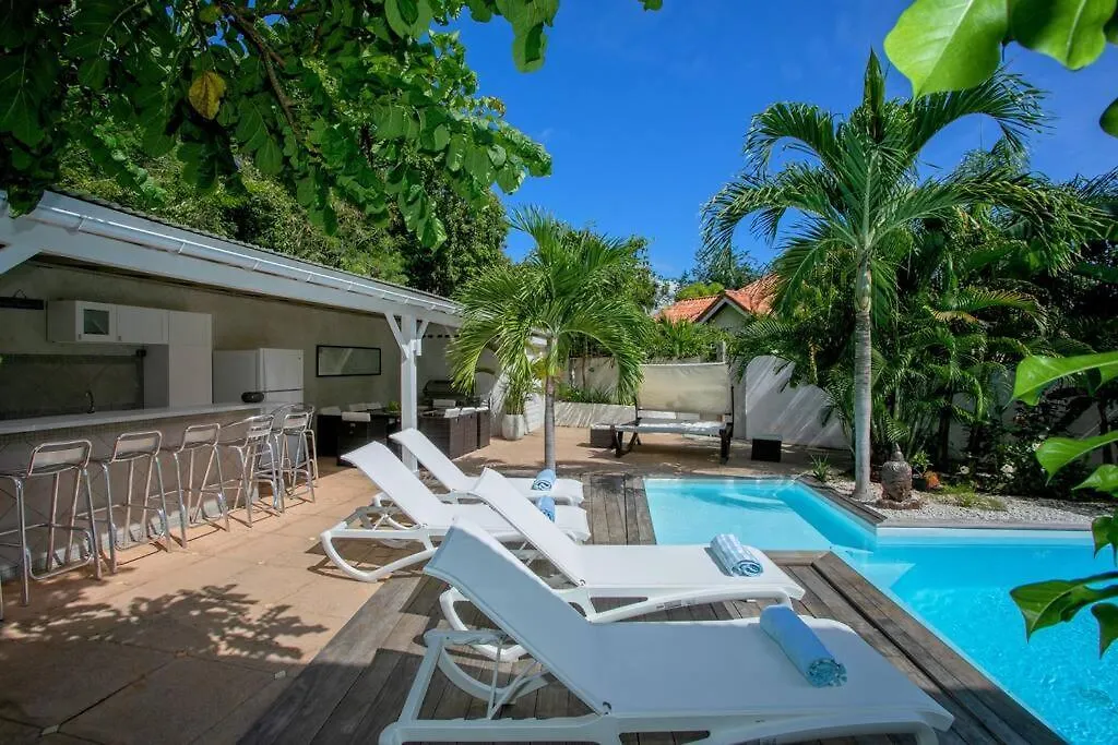 Villa Ele, 4 Chambres, Jardin Tropical Et Piscine Quarter of Orleans